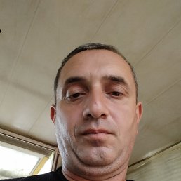 Niko, 40, 