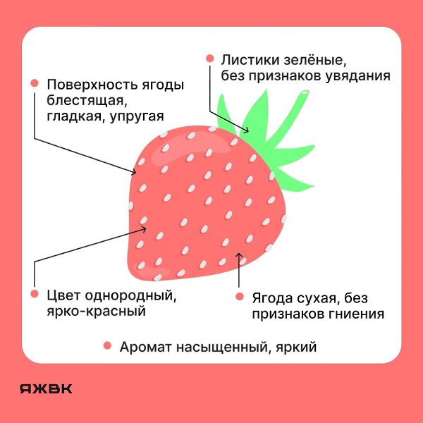 Как выбрать клубнику? На прилавках магазинов и рынков уже можно найти эту вкусную ягоду. Собрали для ...