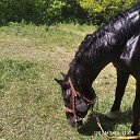 ���� �����, ������, 19 ��� - ��������� 22 ����� 2026