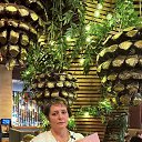 ���� C���� ��������, ������� - ��������� 2 ������� 2026 � ������ ���� ������