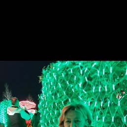 , 62, 