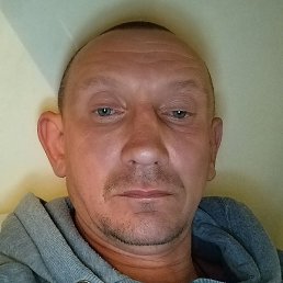 ������, ���������, 41 ���