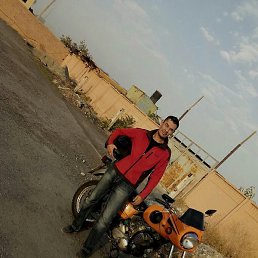 ������, �������, 54 ����