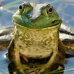 ���, ����������, 47 ���