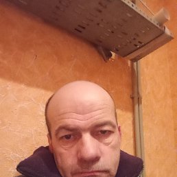 , 44, 