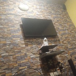 Alex, �����������, 37 ���