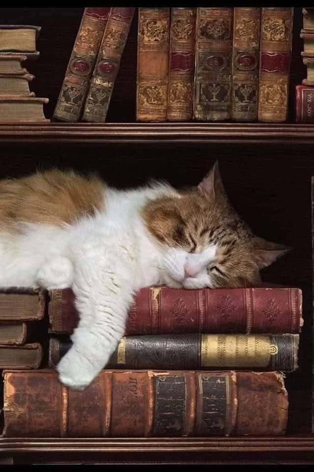 :)     ,   ,      ,    ... ...