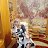 ���� ���, �����-���������, 51 ��� - ��������� 7 ��� 2026