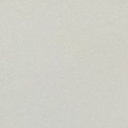 ���������, 20 ���, ����