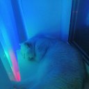 ���� �����, �����������, 39 ��� - ��������� 22 ����� 2025