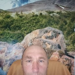 , 54, 