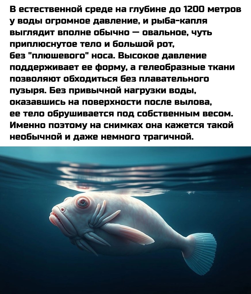        - 2