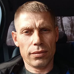 �������, ����, 41 ���