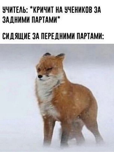 ? ,  ! - 12  2025  08:43