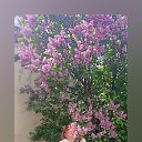���� Ma���, �������, 63 ���� - ��������� 28 ���� 2025 � ������ ���� ����������