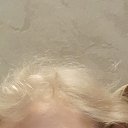 ���� �����, �������, 61 ��� - ��������� 1 ������� 2025 � ������ ���� ����������