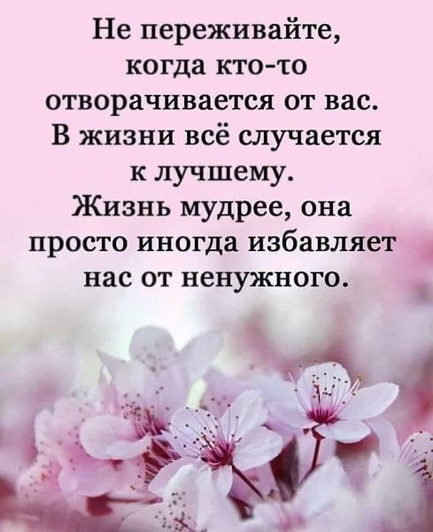   - 19  2025  14:42