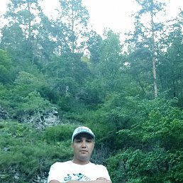 �������, 37 ���, ���