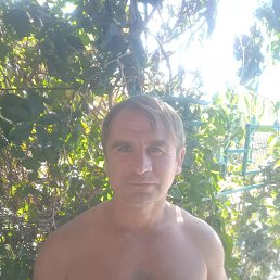 ������, 41 ���, ������