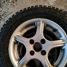 ��������, �������, 48 ���