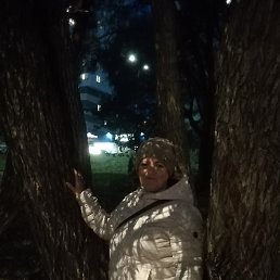 , 62, 
