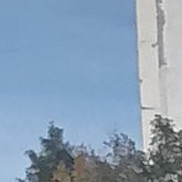 �������, ������, 57 ���