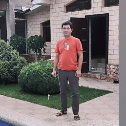 ���� Ideal 666, �������, 28 ��� - ��������� 7 ��� 2026