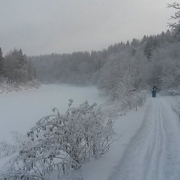 ������, ������, 53 ����