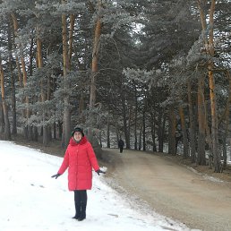 ****����� ***, ��������