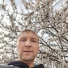 �������, 42 ����, ������