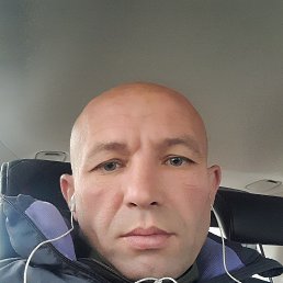 , 36, 