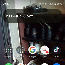 ��������, �����, 43 ����