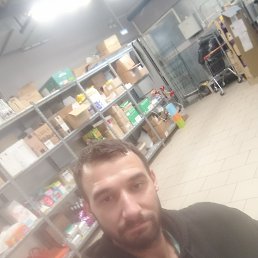 ���� ������, �����-���������, 33 ���� - ��������� 14 �������� 2026