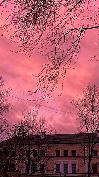 ��������� ������� � ������ - 6