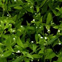 ���� �����, ������, 30 ��� - ��������� 28 ��� 2024