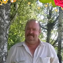 �������, �������, 65 ���