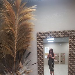 ���� ����, ������, 50 ��� - ��������� 23 ������� 2026