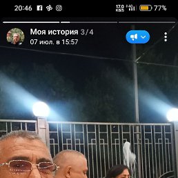 , 63, 