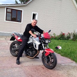 , 61, 