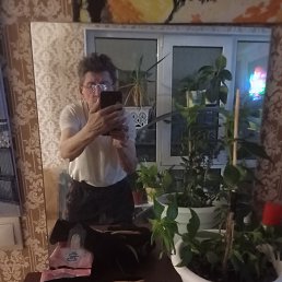 �����, 56 ���, ������ ��������