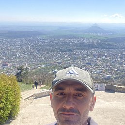 , 42, 