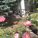 ���� Sandra, ������ - ��������� 27 ���� 2025 � ������ ������ ��������