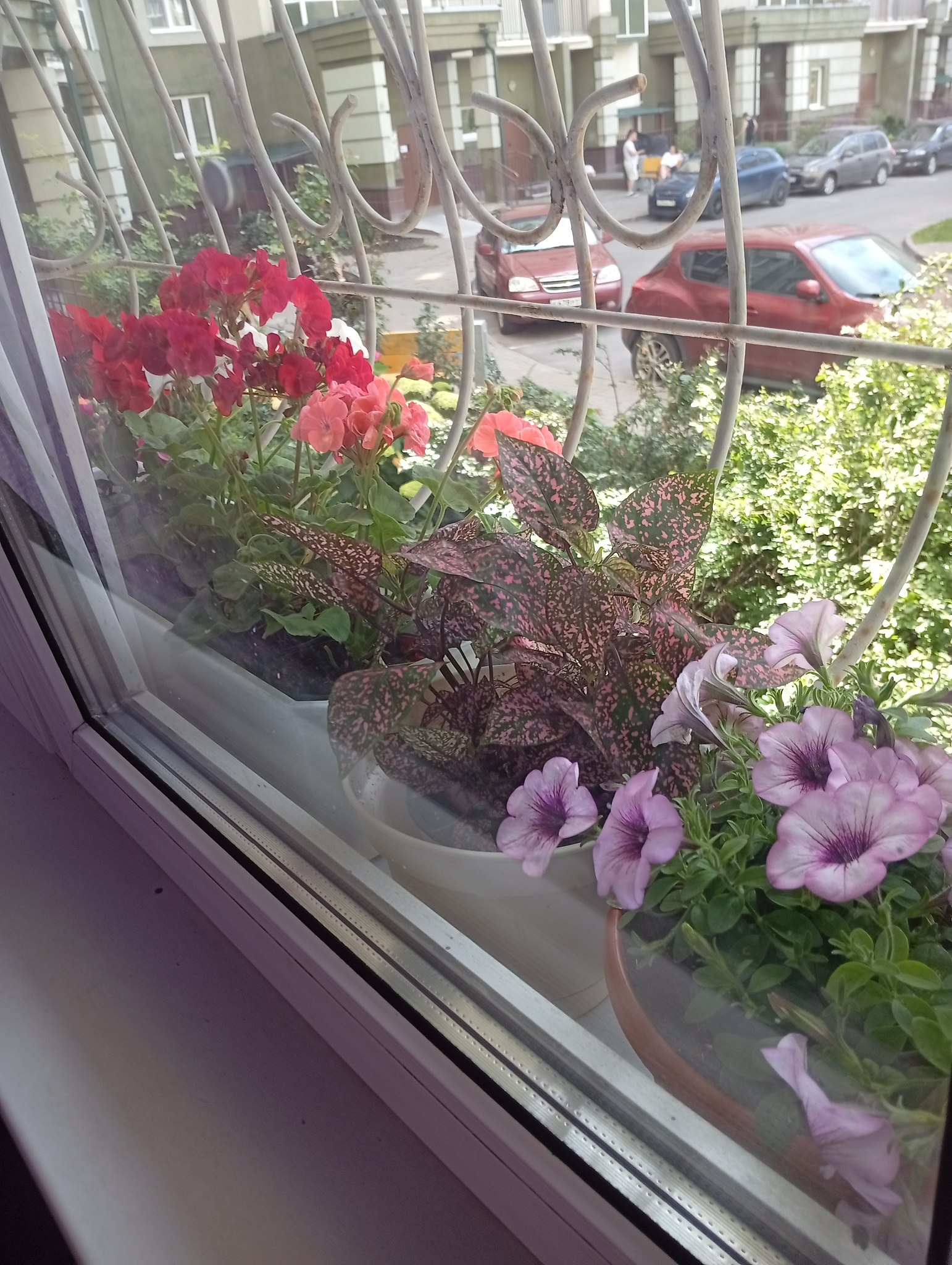 Diva - 5  2025  14:39 - 2