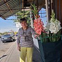 ���� �������, ������, 78 ��� - ��������� 4 ������� 2025 � ������ ���� ����������