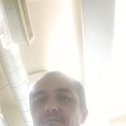 , 42, 