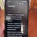 ���� ������� �����������, �����, 28 ��� - ��������� 30 ���� 2025 � ������ ���� ����������