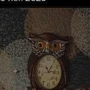 �����, 43 ����, ���������