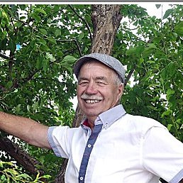 �������, ����-���, 76 ���