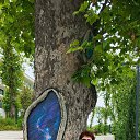 ���� �����, ���������, 62 ���� - ��������� 26 ���� 2025 � ������ ���� ����������