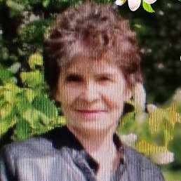 ���������, �����, 65 ���